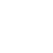 The Real Intellectuals Store logo